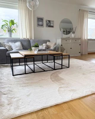 Dette produkt hedder Fluffy, fremstillet af Polyester materiale med en smuk Beige farve - SE Mattor