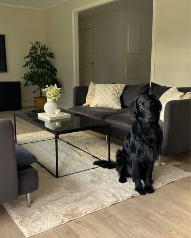 Dette produkt hedder Rabbit Eco, fremstillet af Polyester materiale med en smuk Lys Beige farve - SE Mattor