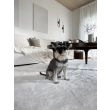 Dette produkt hedder Cloudy, fremstillet af Polyester materiale med en smuk Hvid farve - SE Mattor