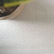 Dette produkt hedder Molly, fremstillet af 60 % Uld & 40% Bomuld  materiale med en smuk Hvid farve - SE Mattor