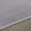 Dette produkt hedder Cat, fremstillet af Polyester materiale med en smuk Sølv farve - SE Mattor