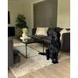 Dette produkt hedder Rabbit Eco, fremstillet af Polyester materiale med en smuk Lys Beige farve - SE Mattor